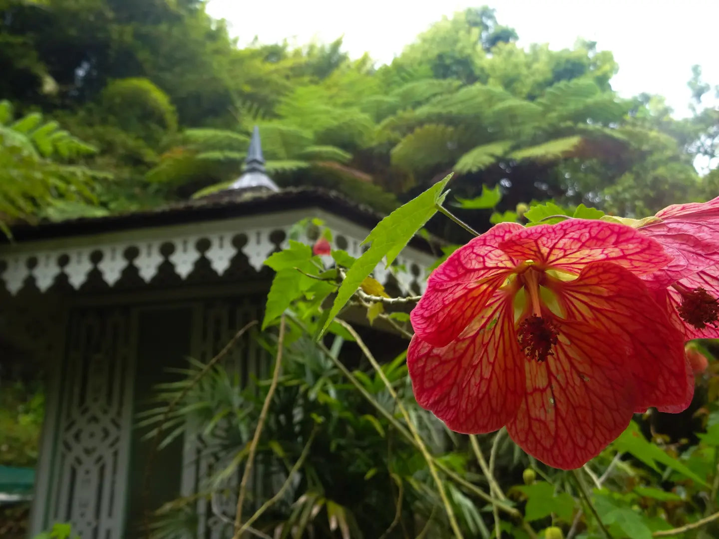 Visiter l'un des plus beaux villages de France… à La Réunion