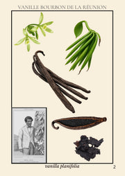 Le grand guide visuel de La Réunion - 213 pages