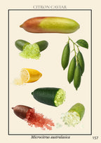 Livre Numérique - Le grand guide visuel de La Réunion - 213 pages