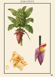 Le grand guide visuel de La Réunion - 213 pages