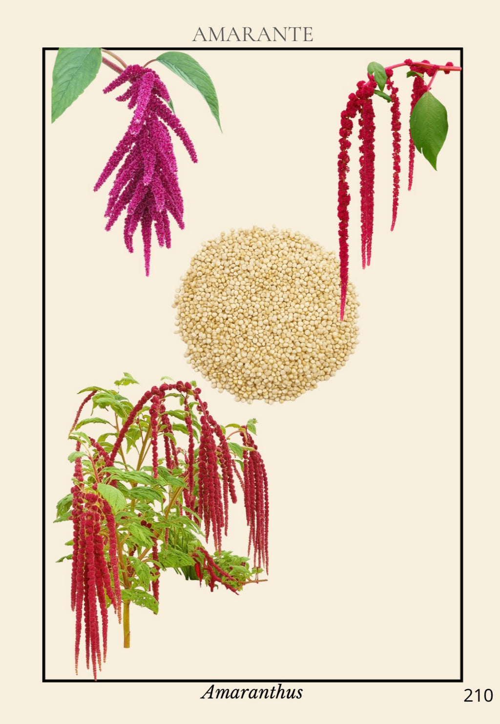 Livre Numérique - Le grand guide visuel de La Réunion - 213 pages