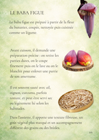 La Réunion dans l‘assiette , Guide culinaire illustré
