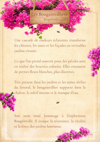 Voyage au cœur des fleurs de La Réunion