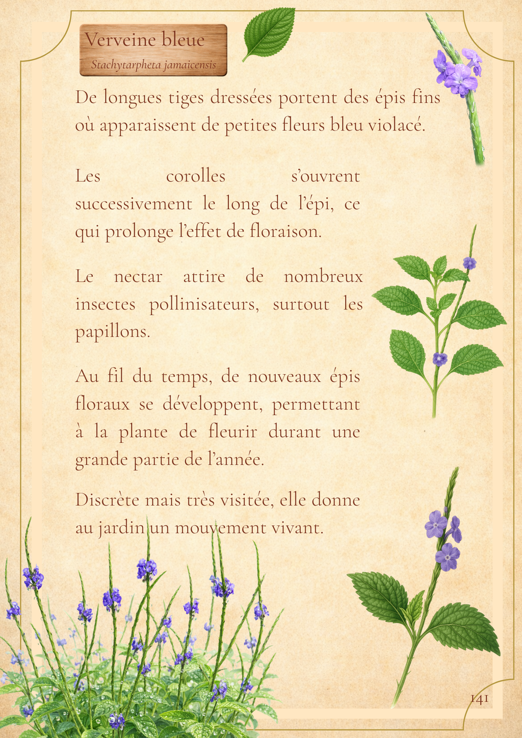 Voyage au cœur des fleurs de La Réunion