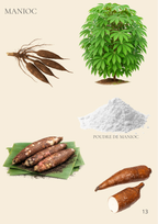 Le grand guide visuel de La Réunion - 263 pages