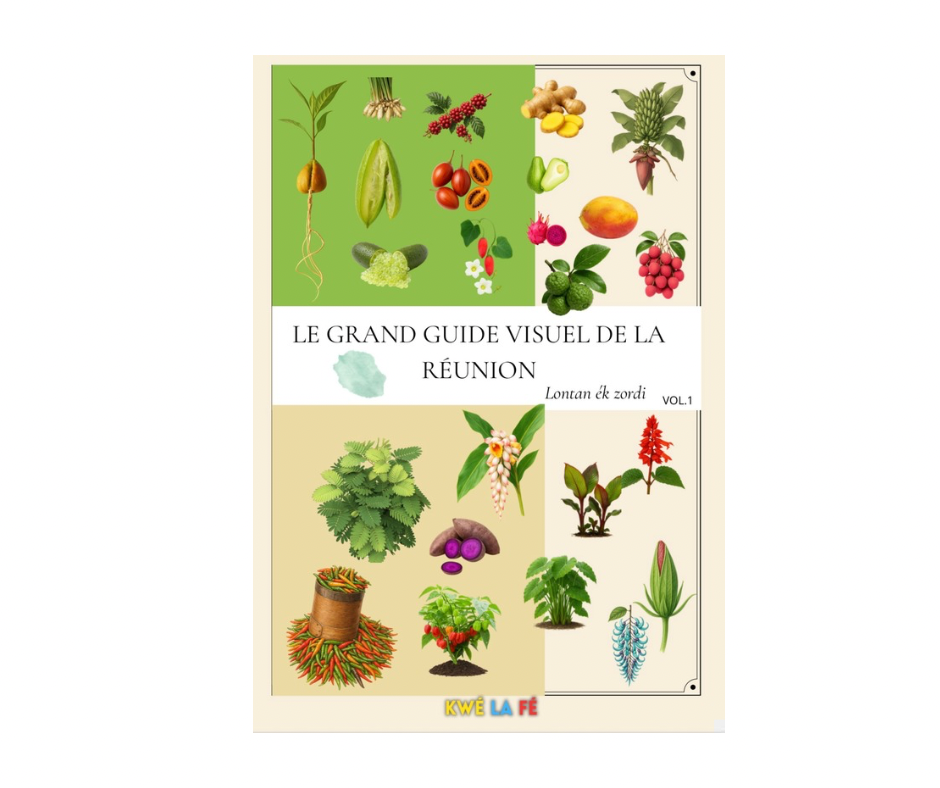 Livre Numérique - Le grand guide visuel de La Réunion - 213 pages