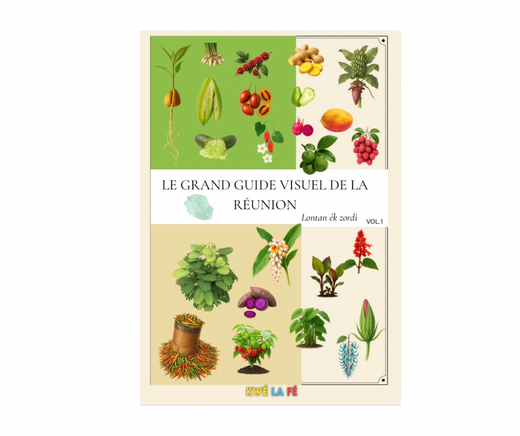 Le grand guide visuel de La Réunion - 213 pages