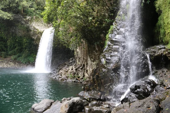 Bassin La Paix