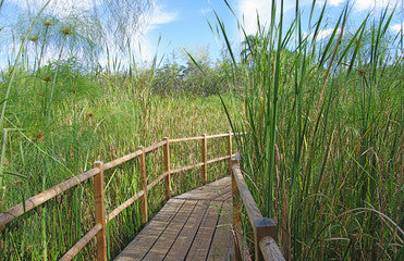 Jardin d‘Éden