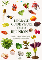 Le grand guide visuel de La Réunion - 263 pages