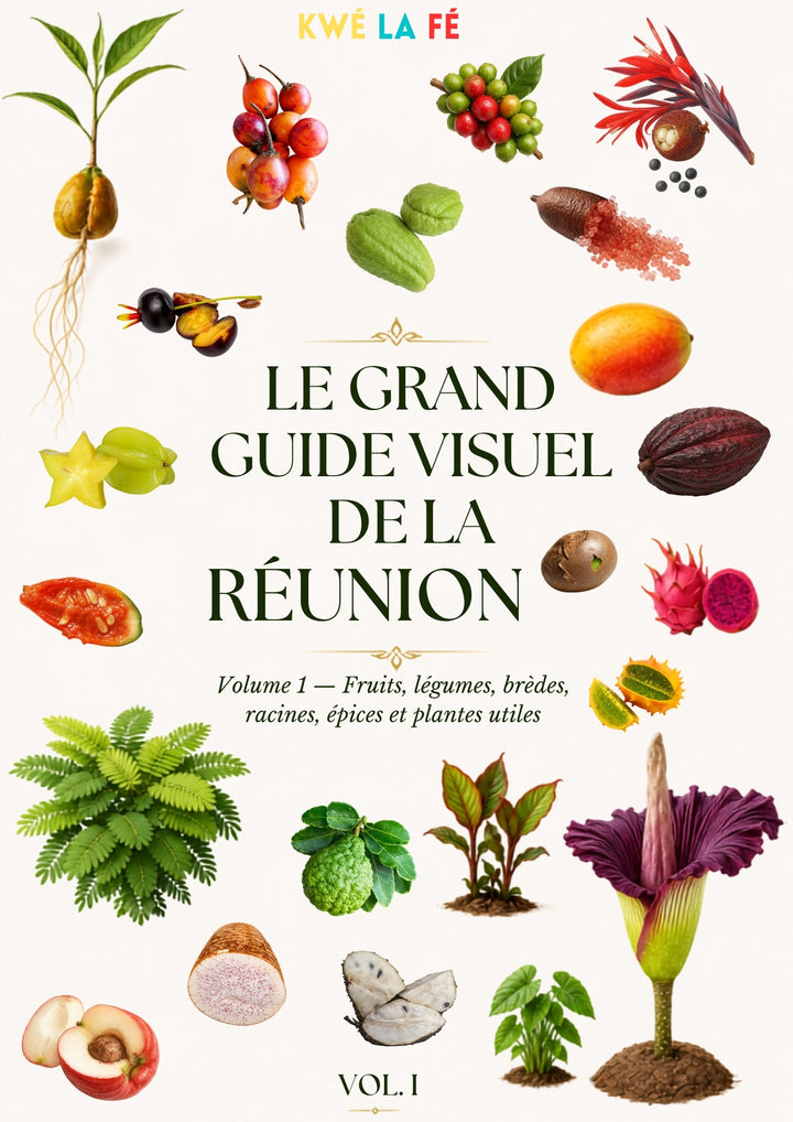 Le grand guide visuel de La Réunion - 263 pages