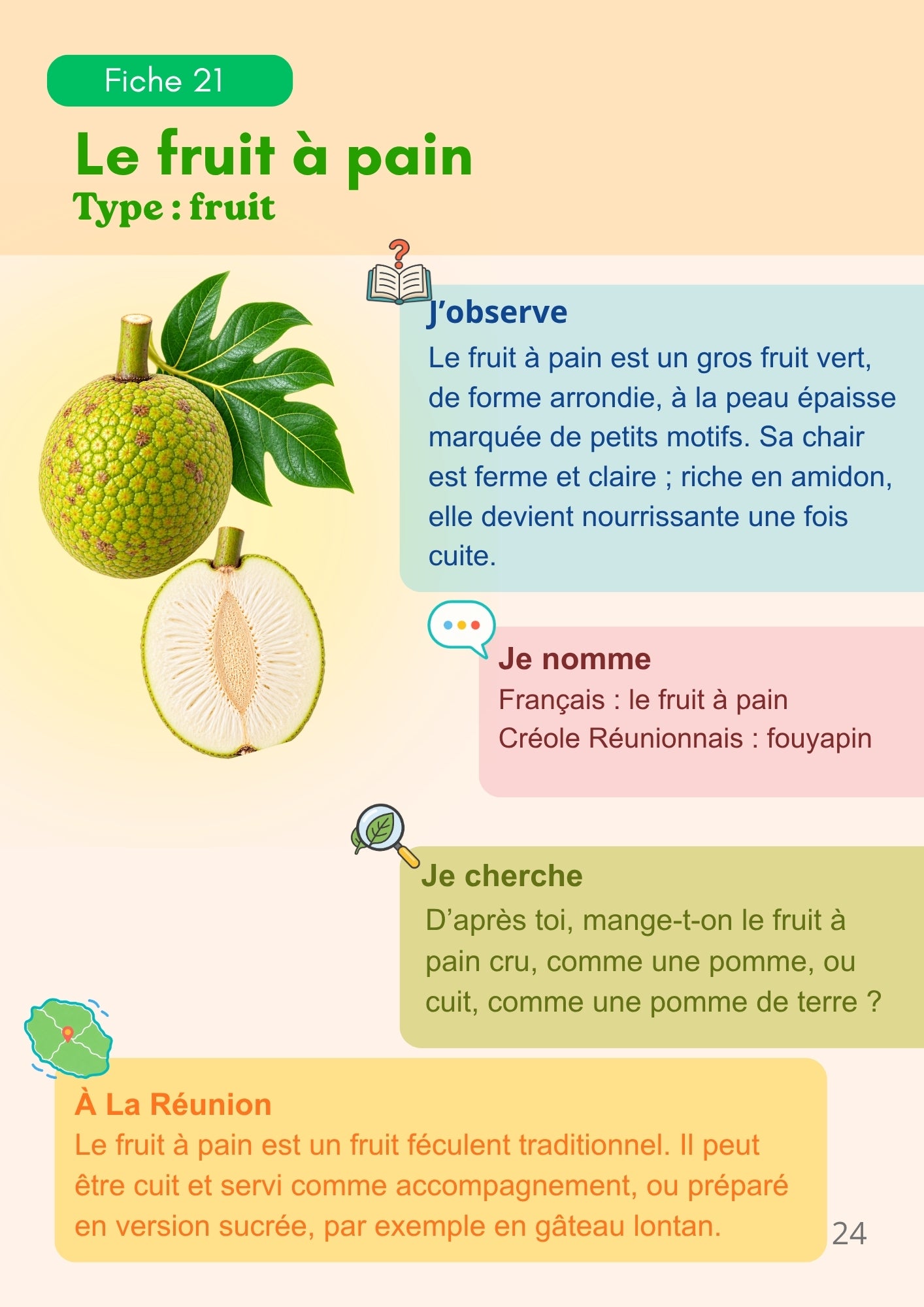 Mes premiers fruits de La Réunion - observer - nommer - comprendre