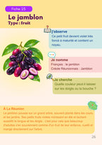 Mes premiers fruits de La Réunion - observer - nommer - comprendre