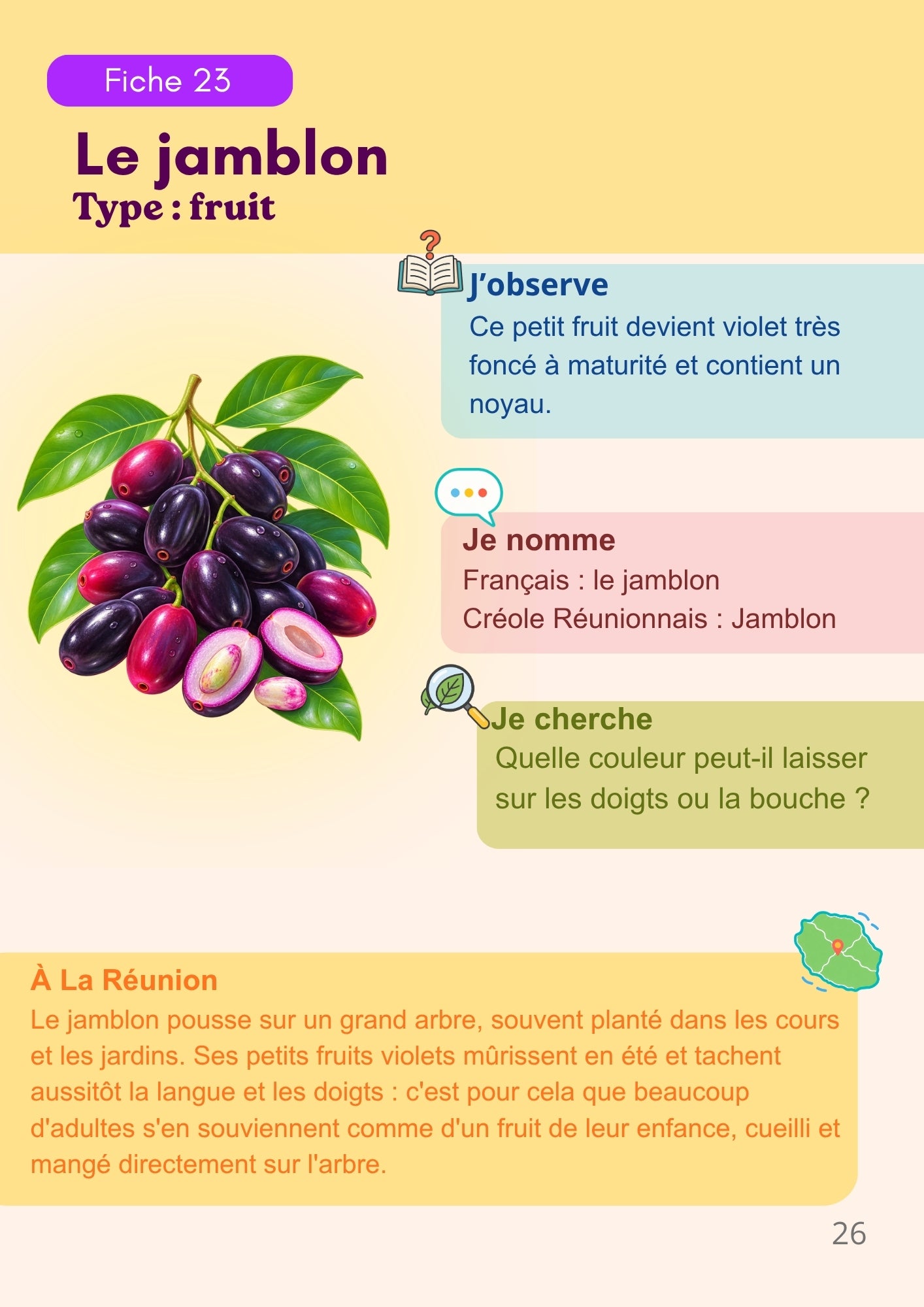 Mes premiers fruits de La Réunion - observer - nommer - comprendre