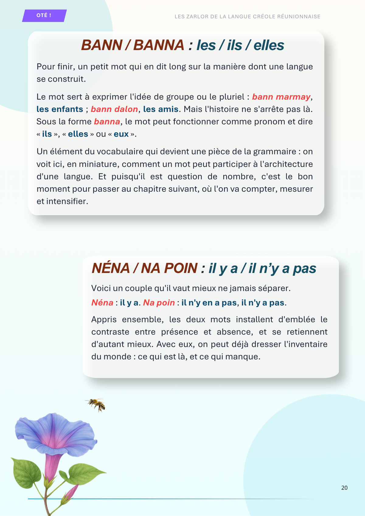 Les trésors du créole Réunionnais | Les mots et expressions qui racontent La Réunion
