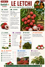 Abonnement Kwélafé – Annuel