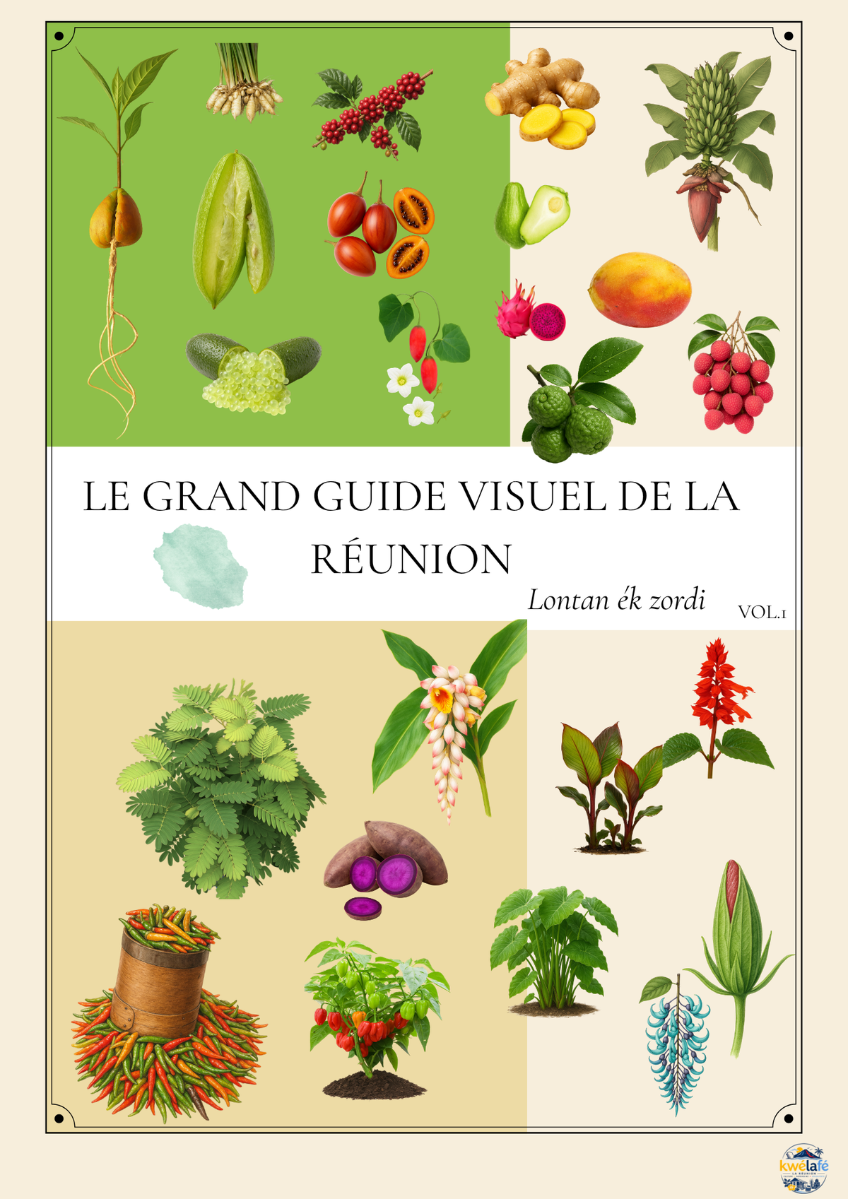 Le grand guide visuel de La Réunion - 213 pages