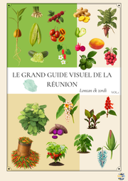 Le grand guide visuel de La Réunion - 213 pages