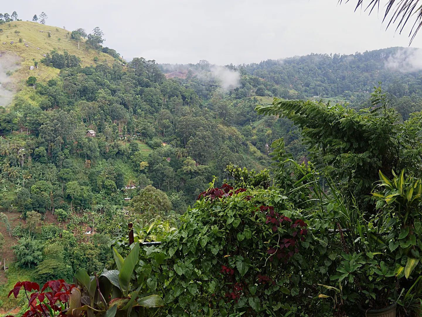 Point de vue du Piton Bois de Nèfles