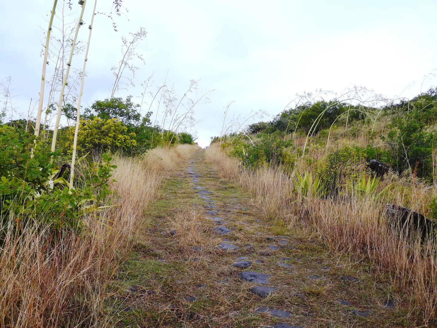Sentier chemin des Anglais