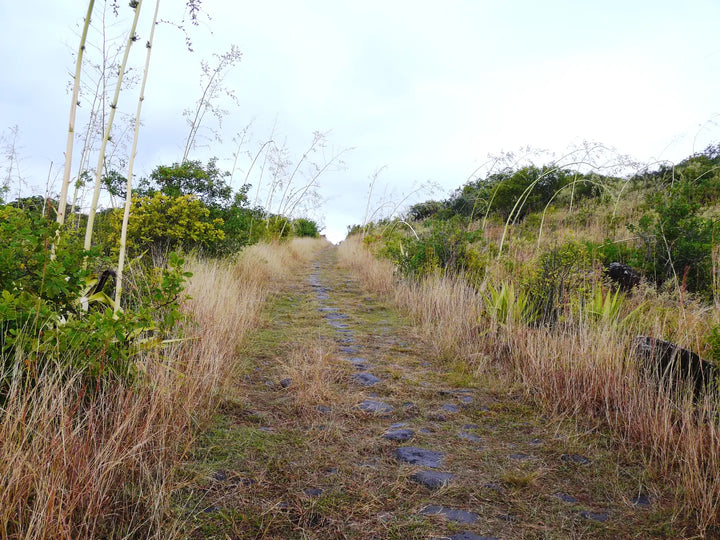 Sentier chemin des Anglais