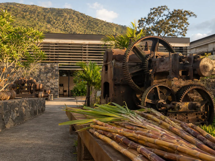 Musée Stella Matutina